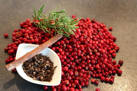 Rote Beeren, ein Rosmarinzweig und Gewürze liegen als Lebensmittel zur Entgiftung und Reinigung des Körpers bereit.