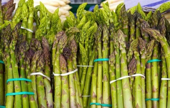 Frische grüne Spargelstangen, mit Bändern gebündelt, liegen als verschenkbares Gemüse auf einer hellen Unterlage.